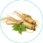 Vigor Peak Asian Ginseng